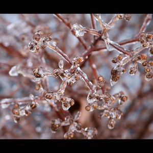 Meet your Posher, Heidi